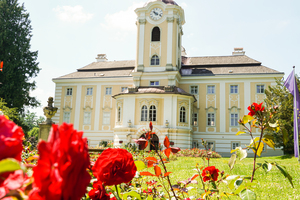 Außenansicht Schloss Rosenau